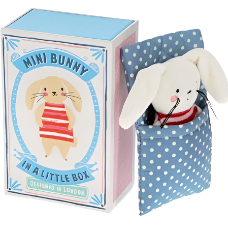 Toy Bunny in matchbox