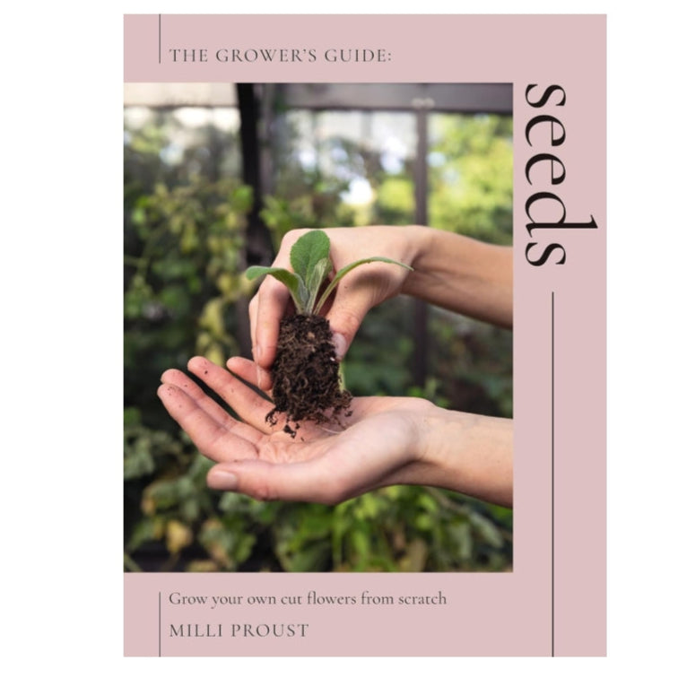 Seeds: Grow Your Own Cut Flowers from Scratch