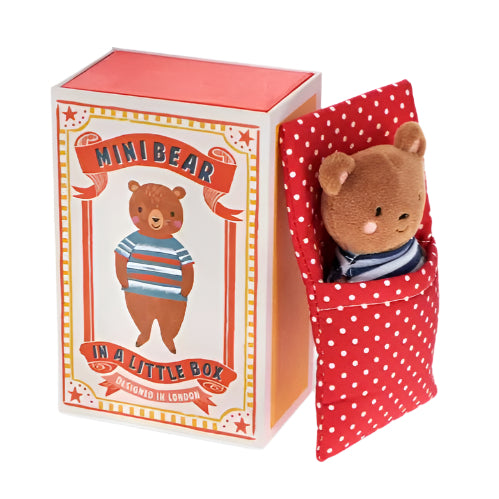 Toy Bear in box