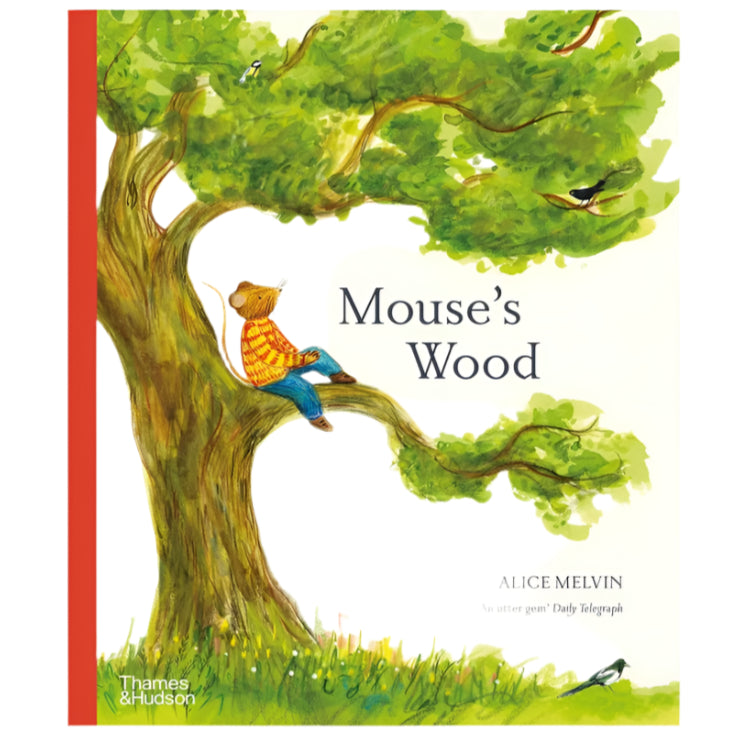 Mouse's Wood: A Year in Nature PB