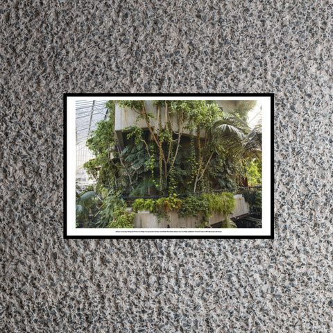 Conservatory Photo A3 Art Print