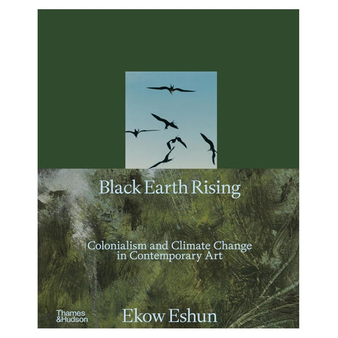 Black Earth Rising