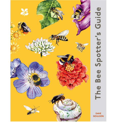 The Bee Spotter’s Guide