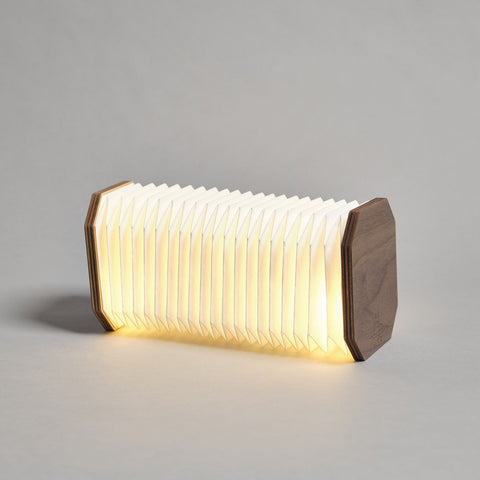 Accordion Light by Gingko